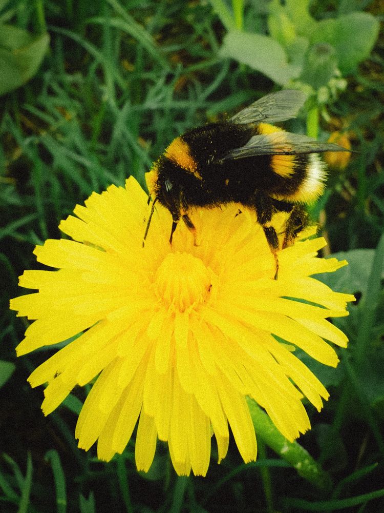 Photograph by Алина Юринова