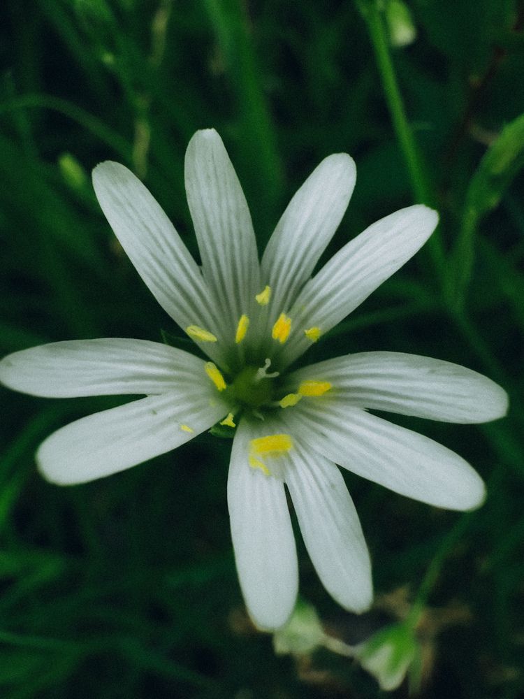 Photograph by Алина Юринова