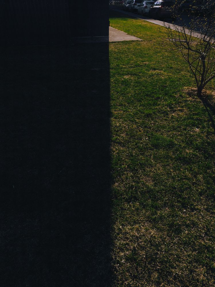 Photograph by Алина Юринова