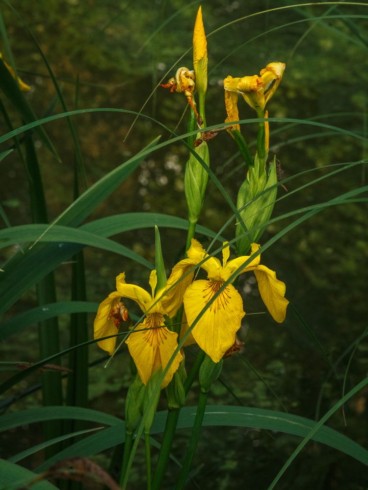 Photograph by Наталья Колеватова