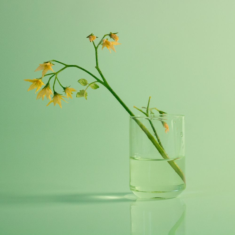 Photograph by Анна Брагина