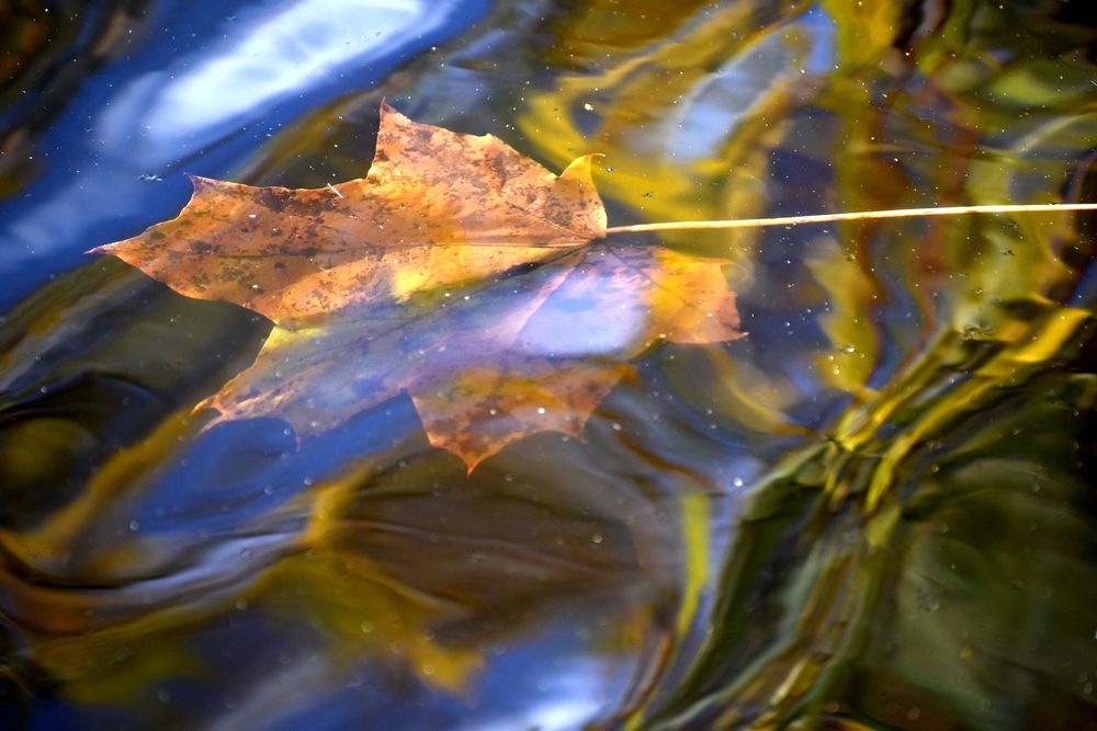 Photograph by Дмитрий Лазаренко