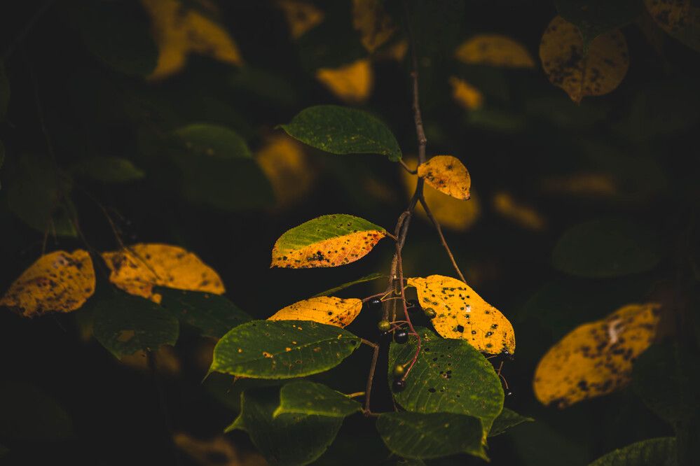 Photograph by Евгений Авдеев