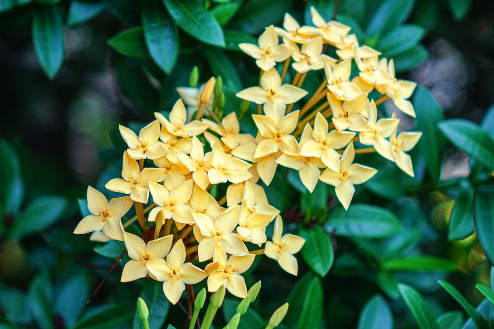 Photograph by Vy Van Bui