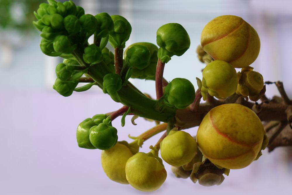 Photograph by Vy Van Bui