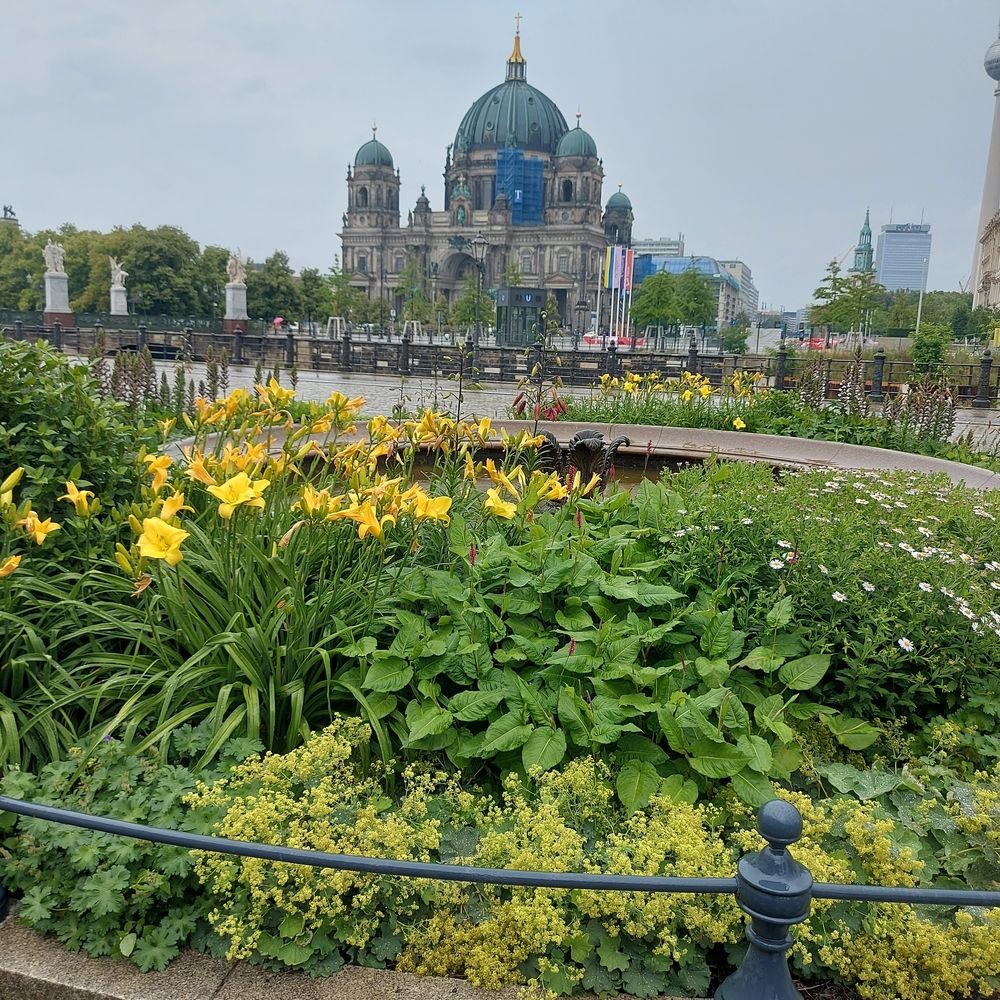 Photograph by Rosane Cortez