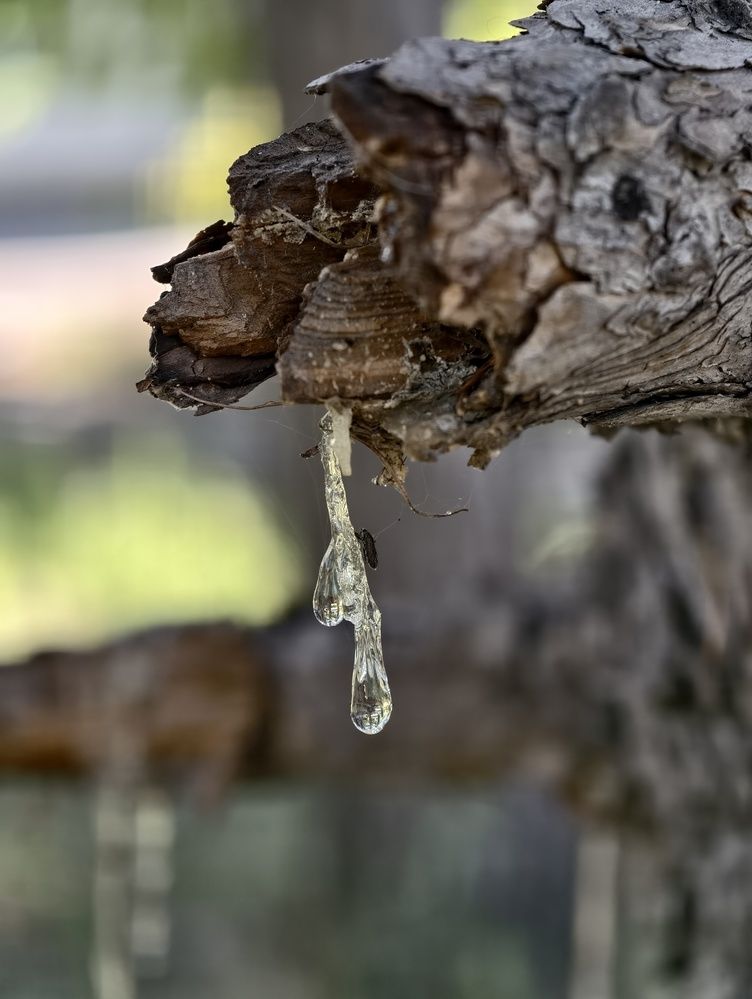 Фотография автора Александр Комаров