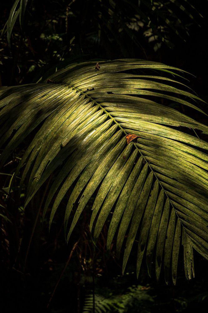 Фотография автора Marcelo Vaz