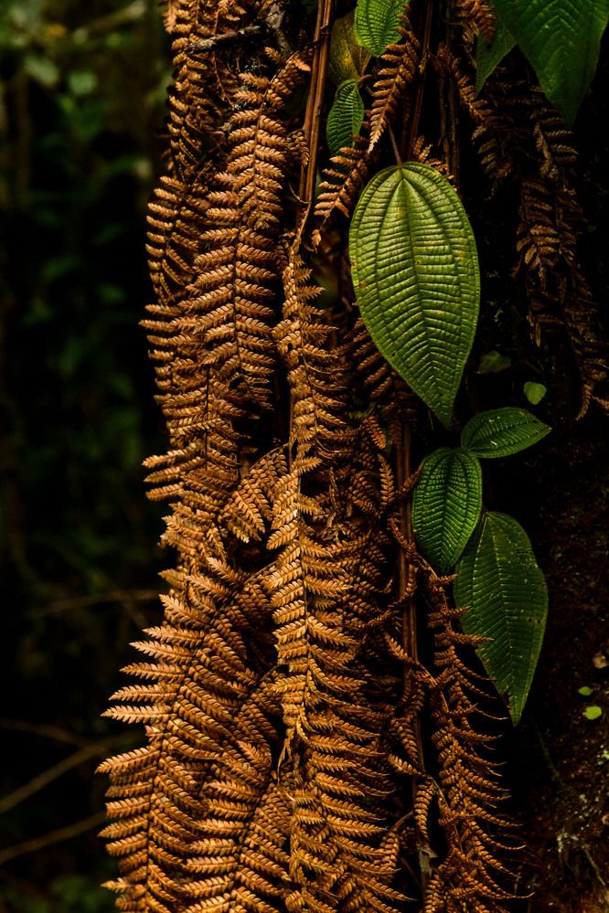 Фотография автора Marcelo Vaz