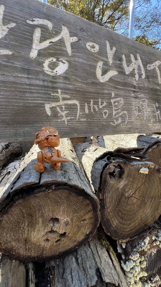 Фотография автора Lawrens Tan