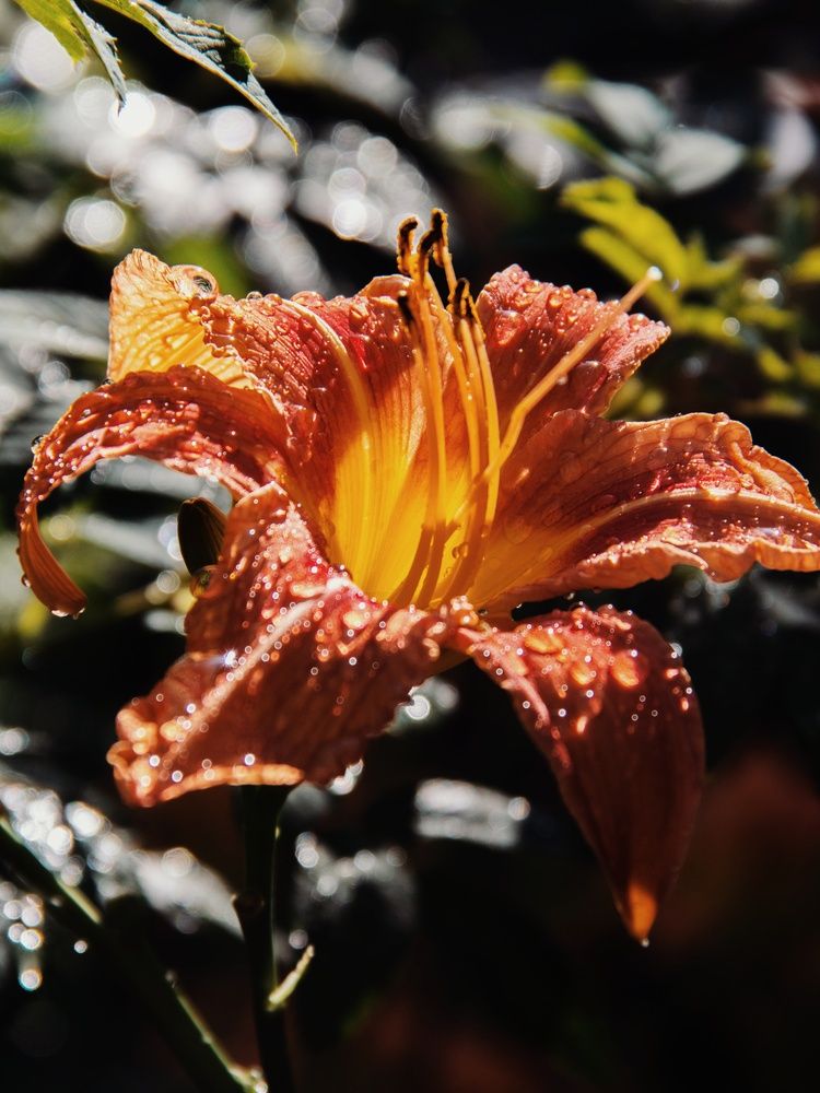 Photograph by Анна Любимова