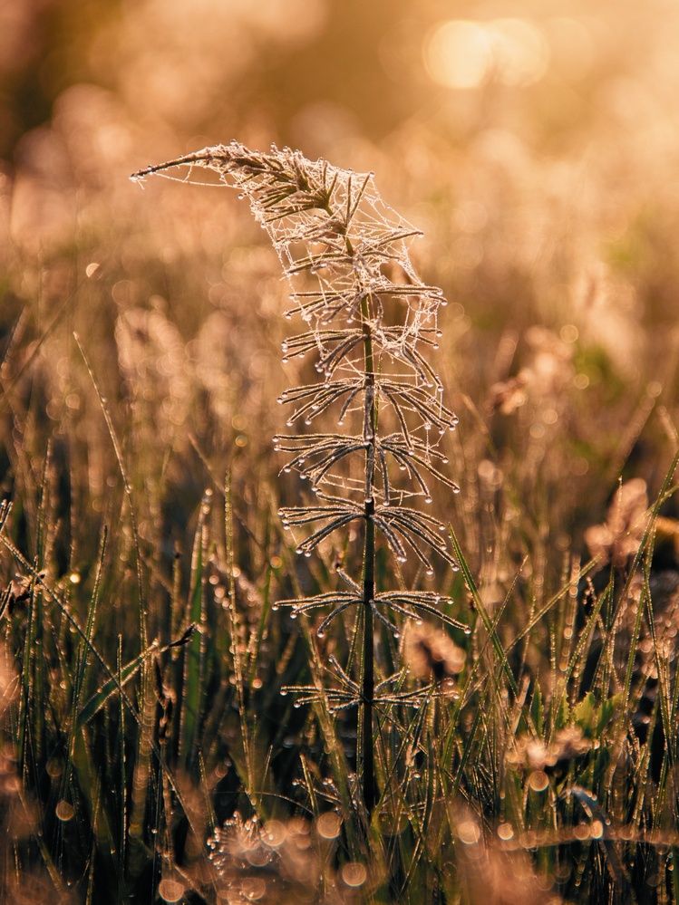 Photograph by Анна Любимова