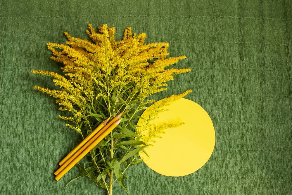 Photograph by Николай Чичерин