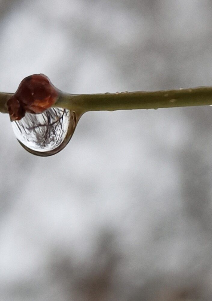 Photograph by Елизавета Мишина