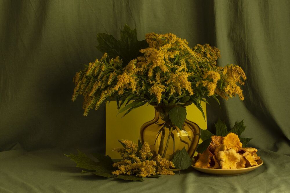 Photograph by Николай Чичерин