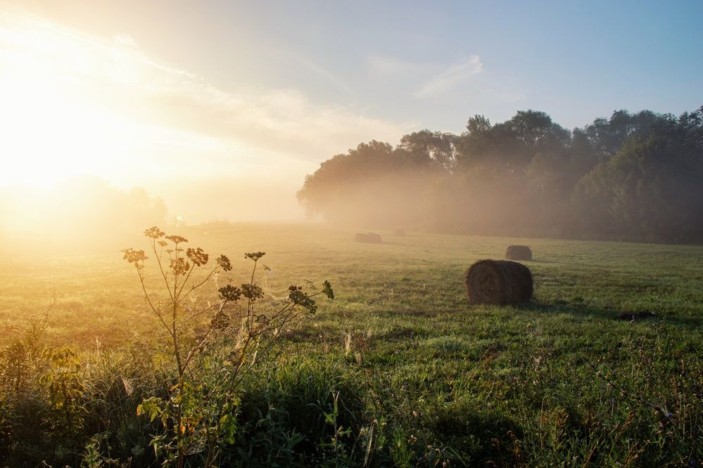 Photograph by Анна Любимова