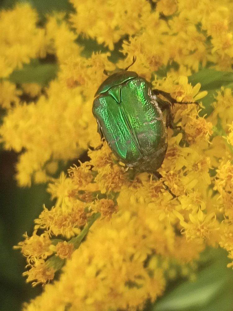 Photograph by Елизавета Мишина