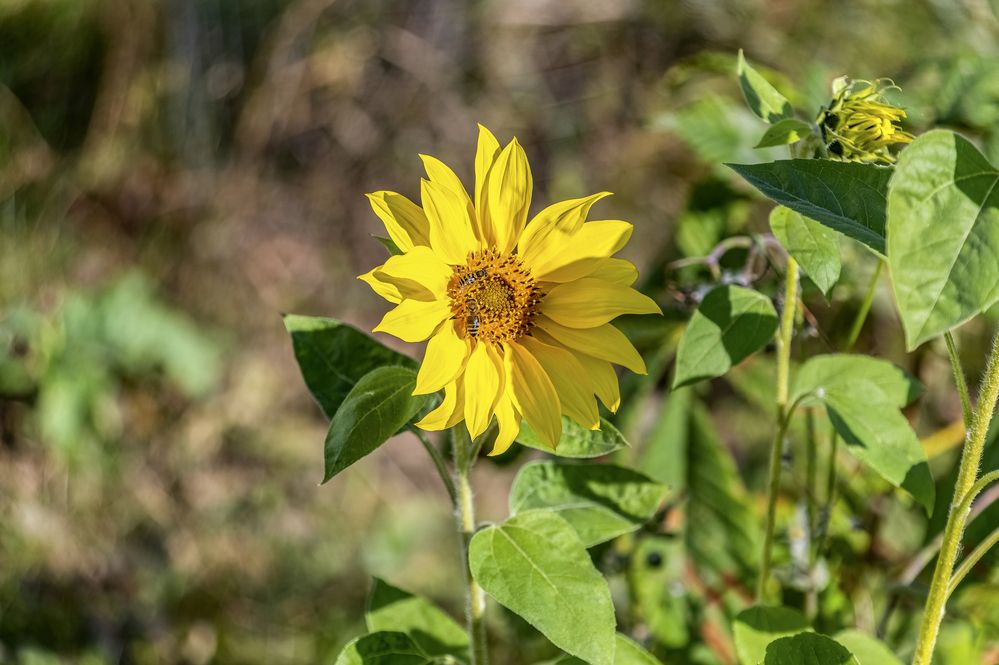 Photograph by Валерий Клейменов