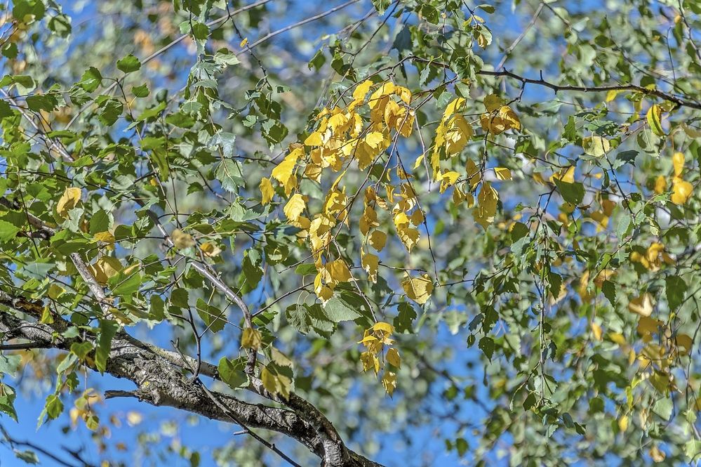 Photograph by Валерий Клейменов