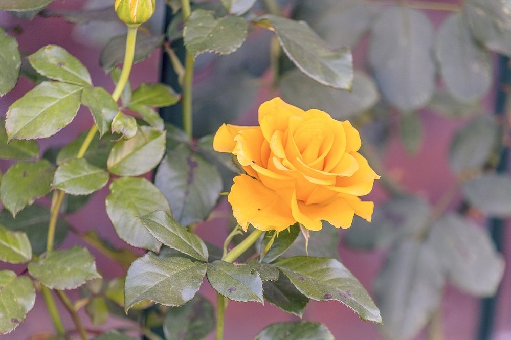 Photograph by Валерий Клейменов