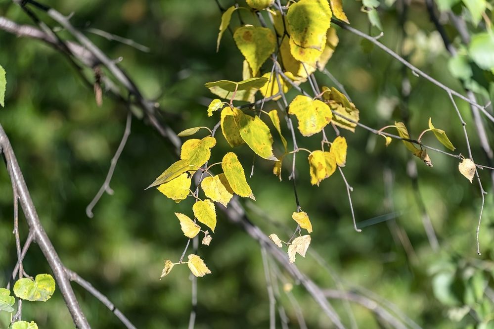 Photograph by Валерий Клейменов