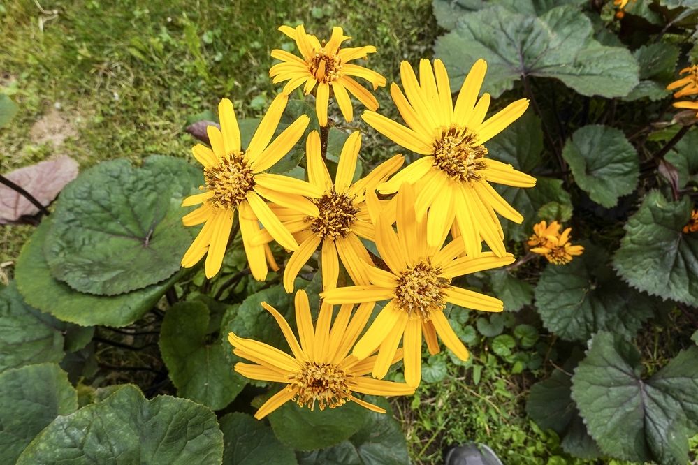 Photograph by Валерий Клейменов