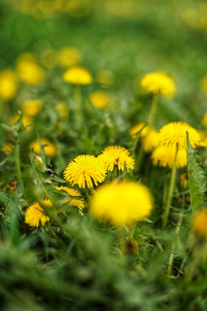 Photograph by Анастасия Позинич