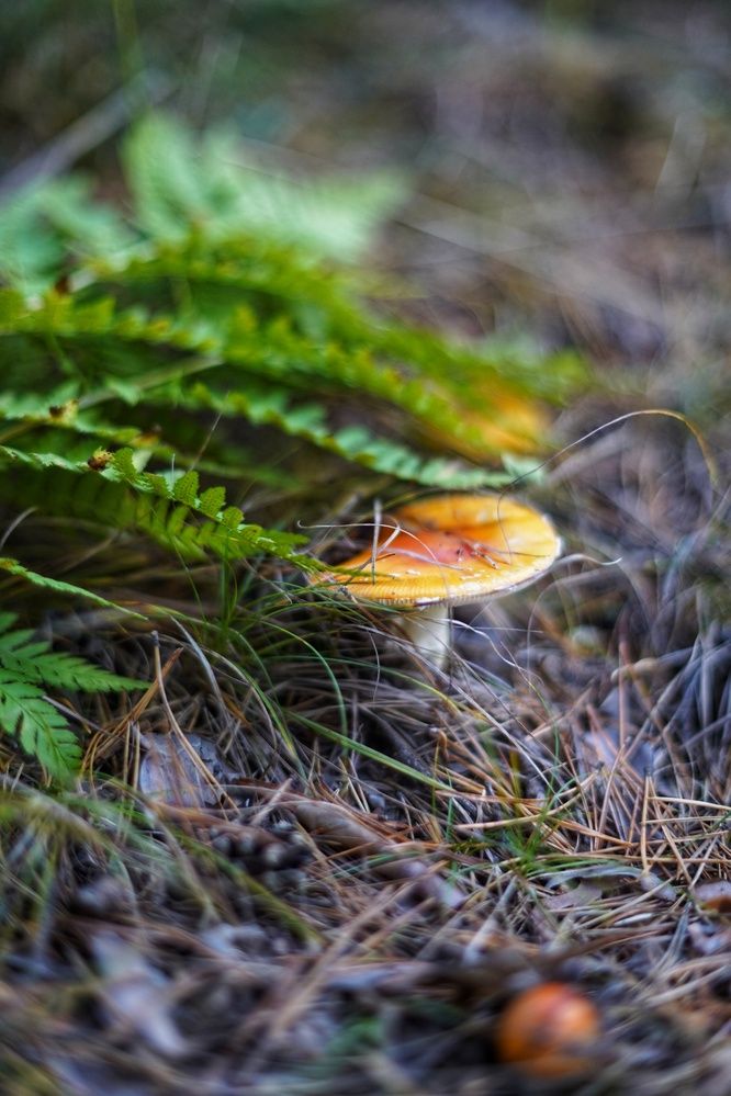 Photograph by Анастасия Позинич