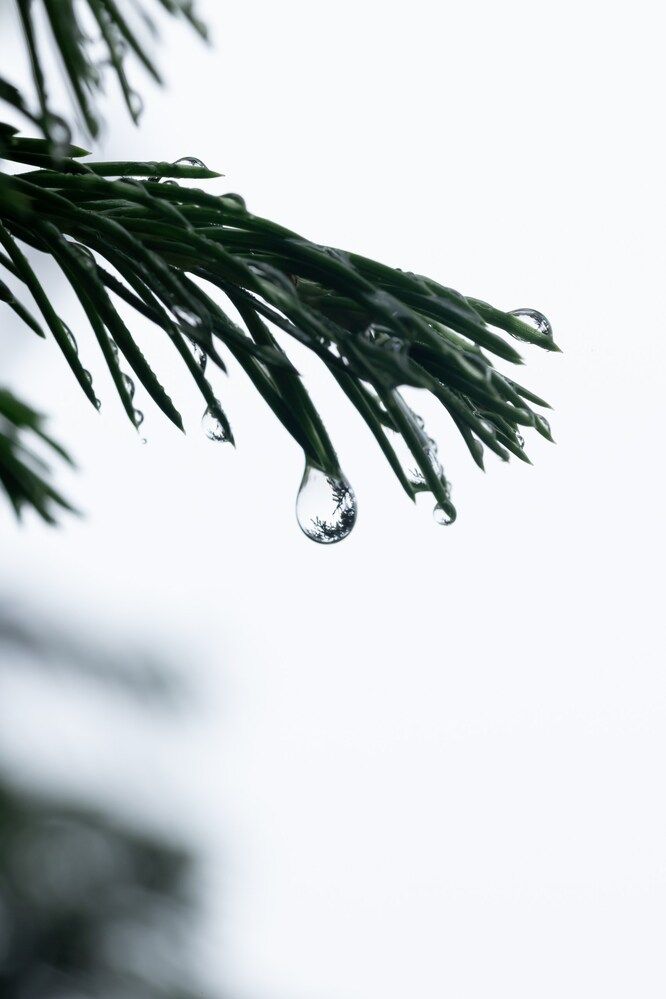 Photograph by Анна Оськина