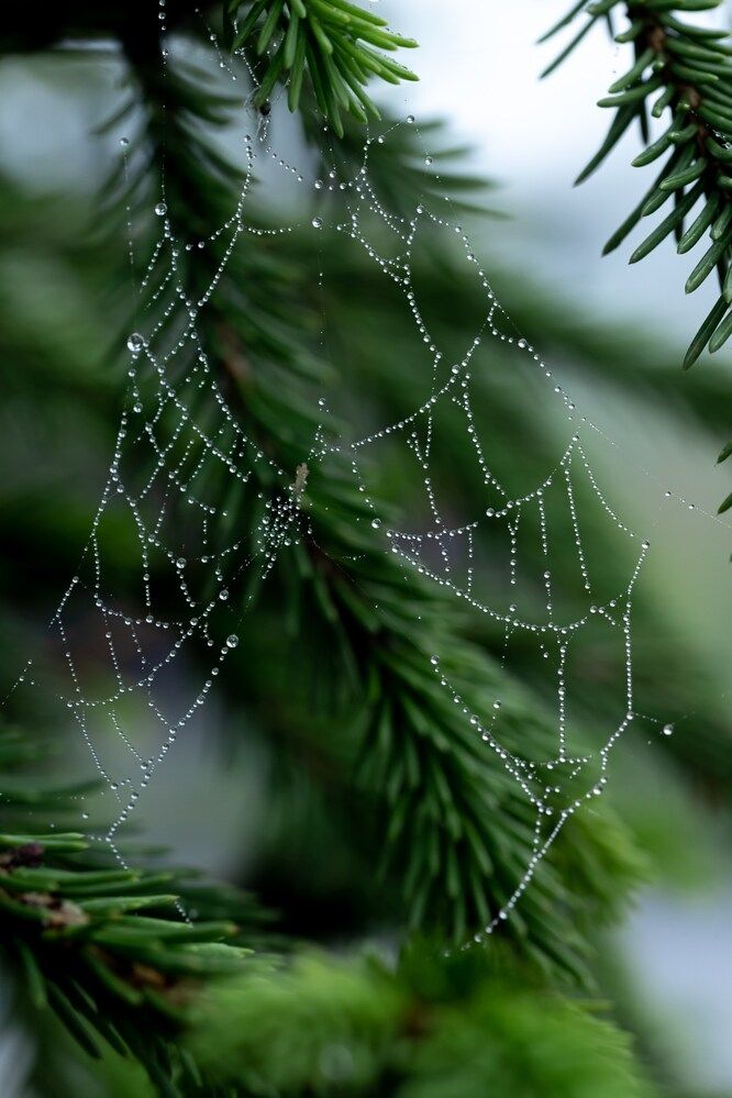 Photograph by Анна Оськина