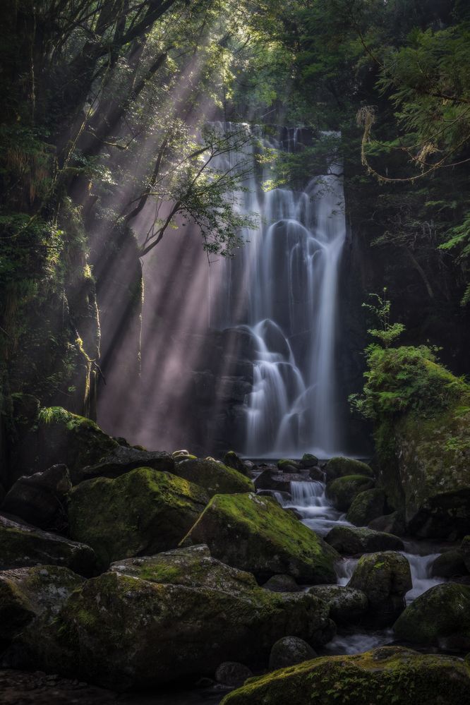 Photograph by Hiroki Matsubara