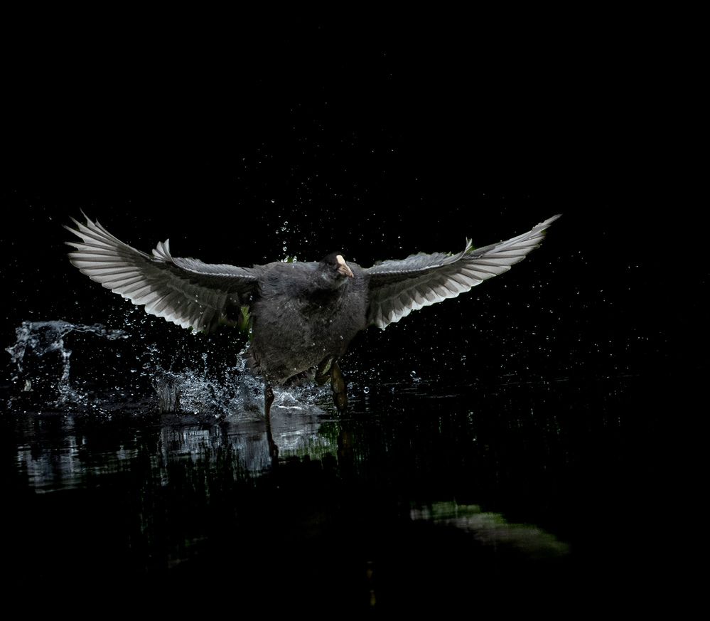 Photograph by Mafaz Abdeen