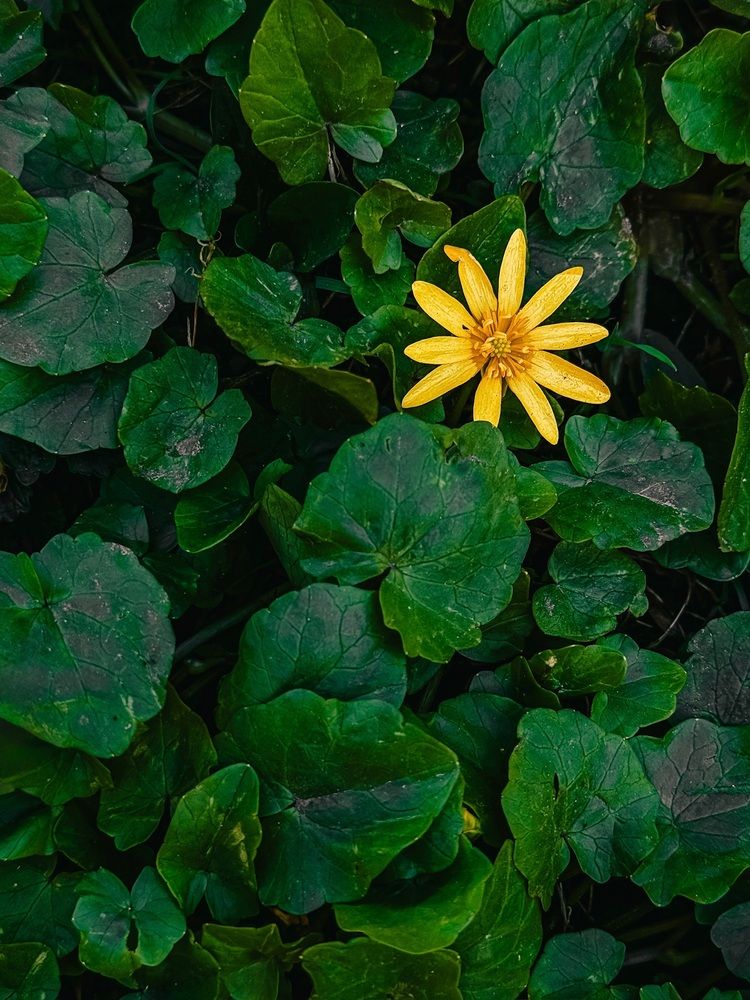 Photograph by Анна Пигулевская