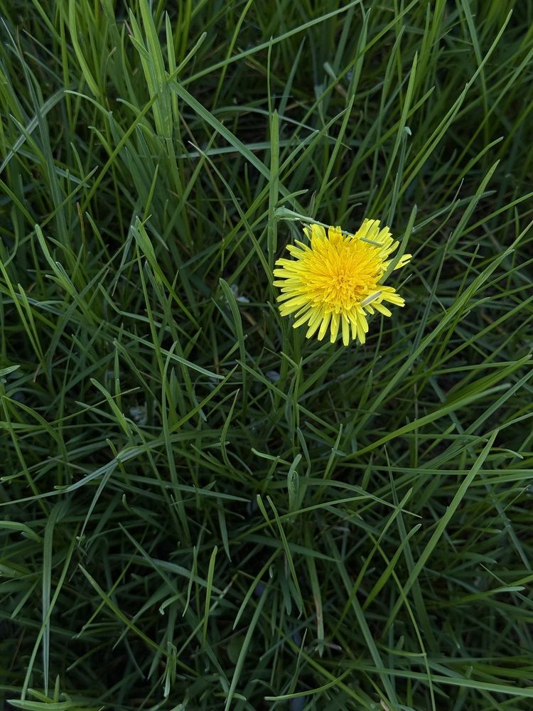 Photograph by Анна Пигулевская