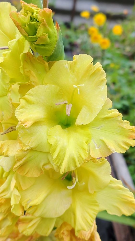 Photograph by Полина Скурская