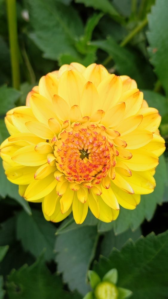 Photograph by Полина Скурская