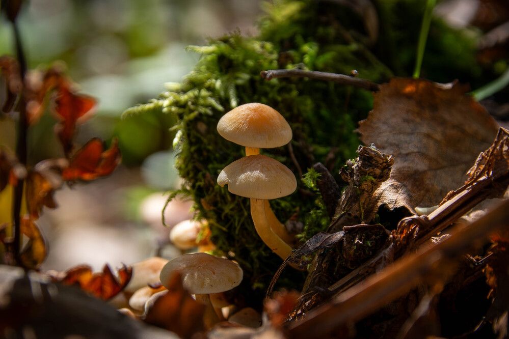 Photograph by Владимир Мигонькин