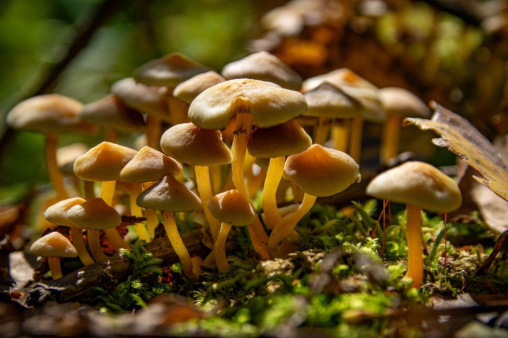 Photograph by Владимир Мигонькин