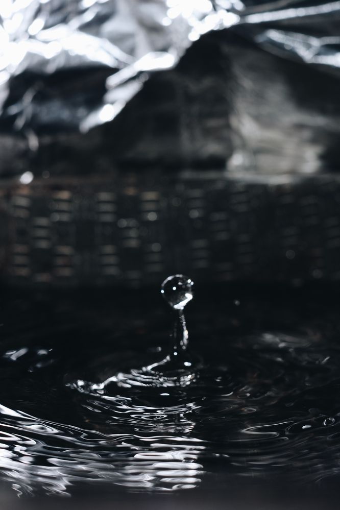 Photograph by Evgeniya Gribova