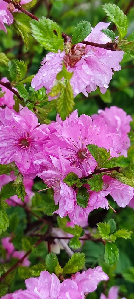 Photograph by Полина Скурская