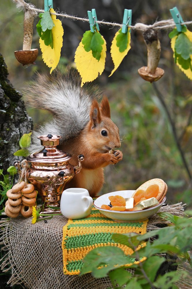 Давайте я поставлю вам чаёк...