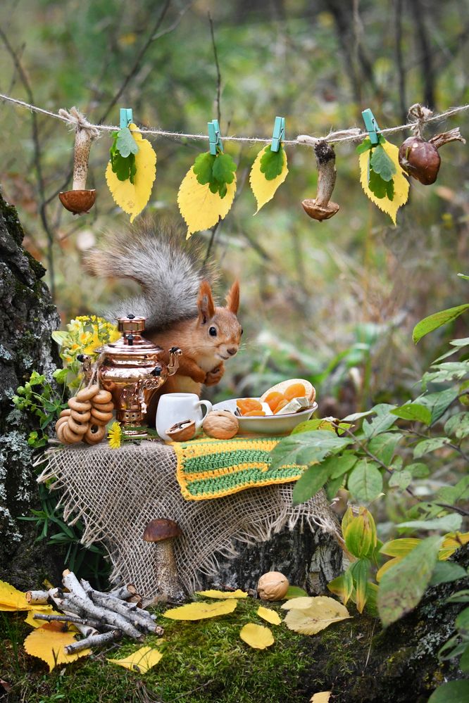 Чай из самовара – наслаждение