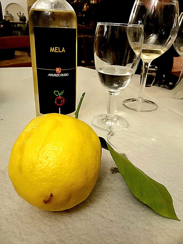 Photograph by Ирина Синягина