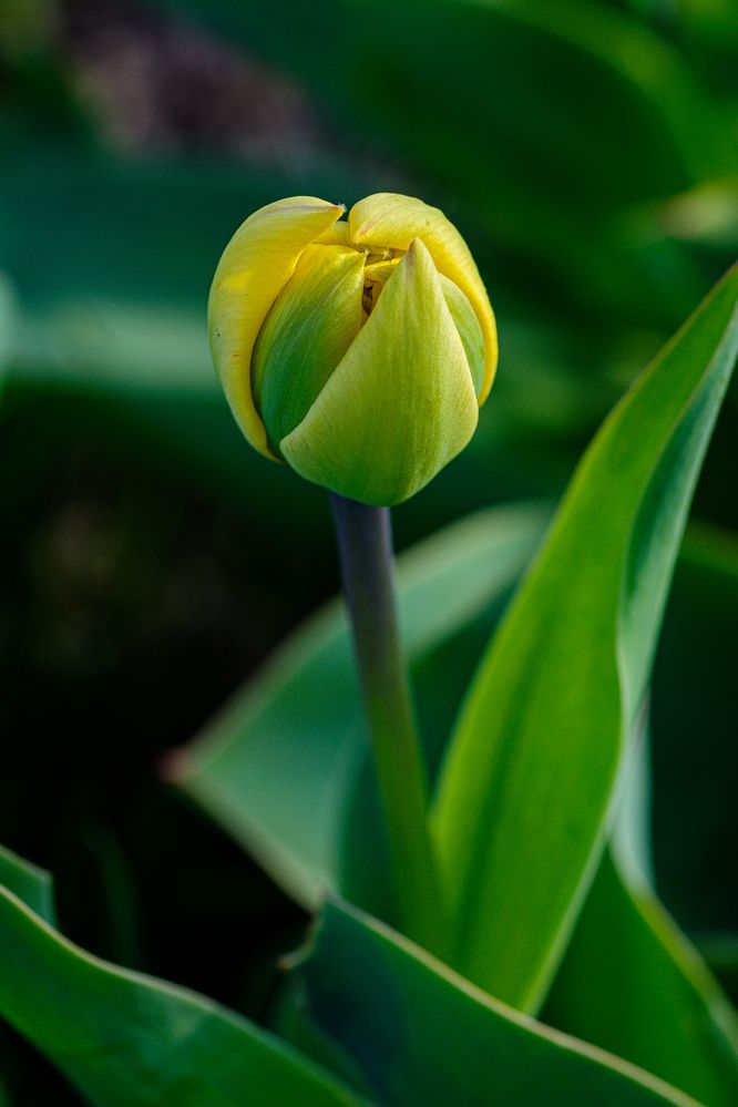 Photograph by Елена Берсенёва