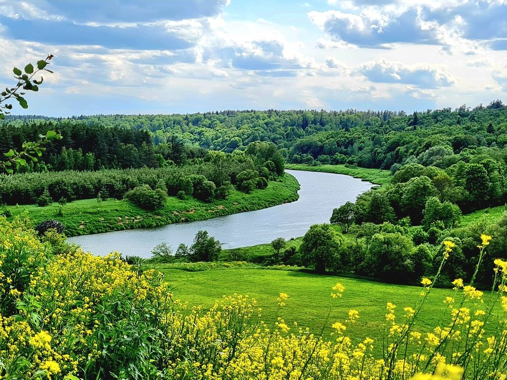 Photograph by Ирина Синягина