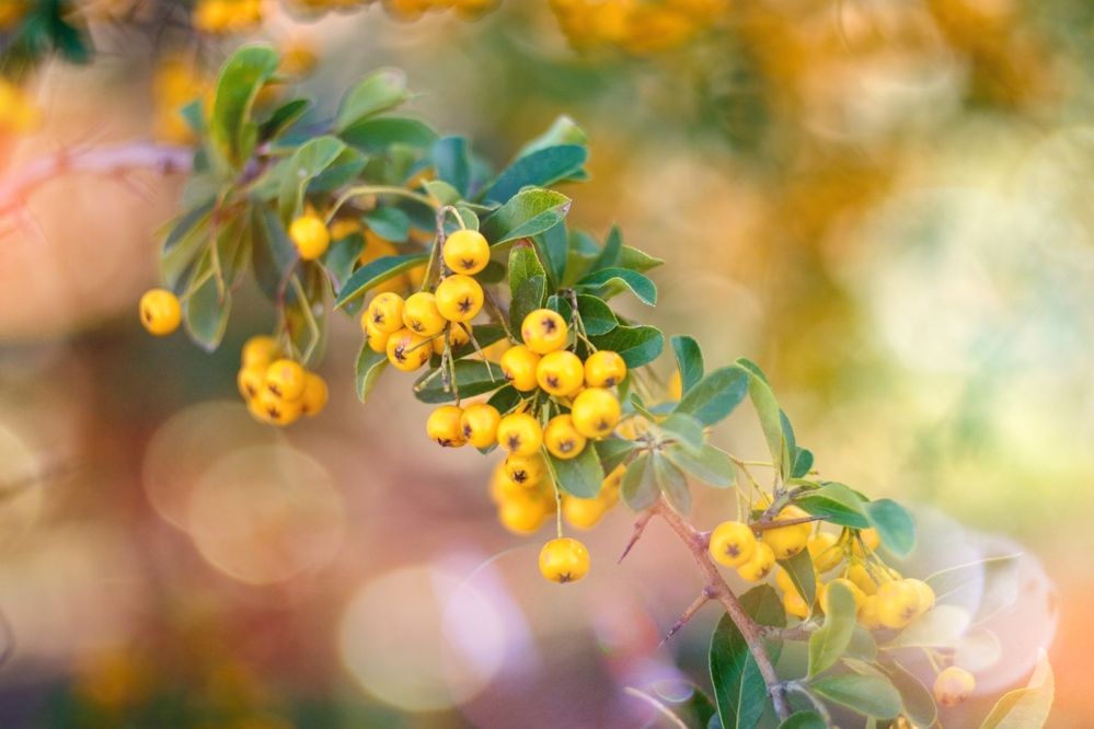 Photograph by Magic Helios