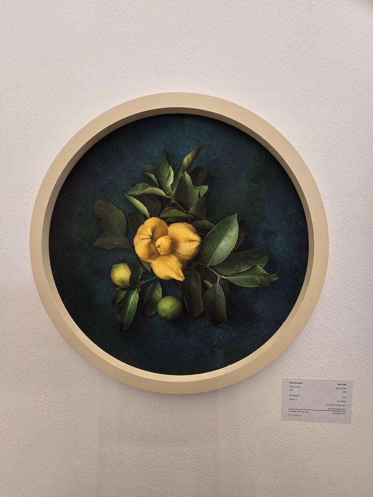 Photograph by Yulia Rotbach