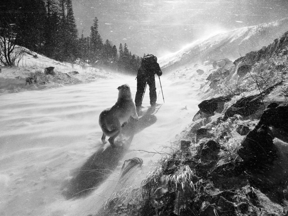 вместе весело шагать..