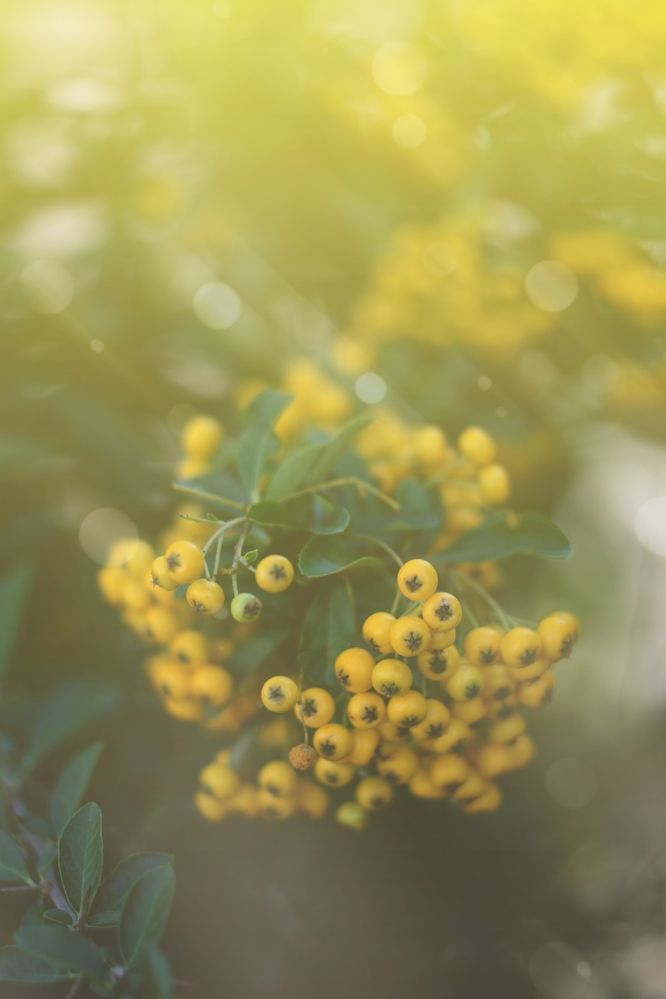 Photograph by Magic Helios