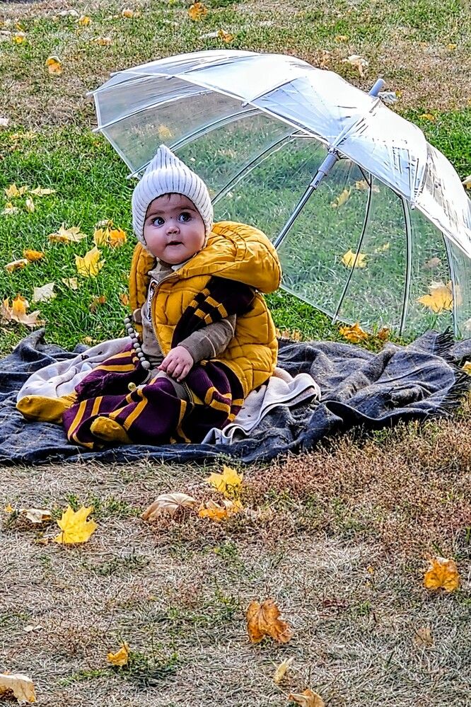 Photograph by Людмила Локтионова